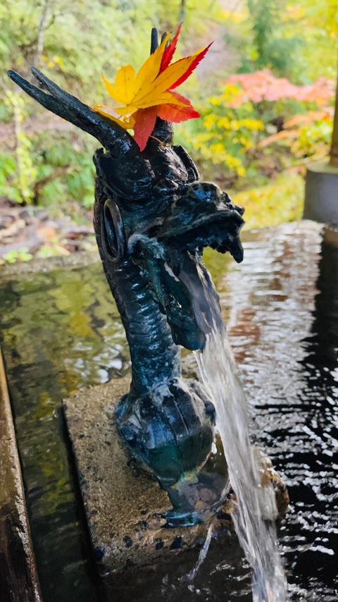 IMG_5716.JPGのサムネイル画像