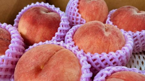 IMG_0034.jpgのサムネイル画像のサムネイル画像