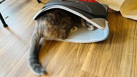 IMG_1502.jpgのサムネイル画像